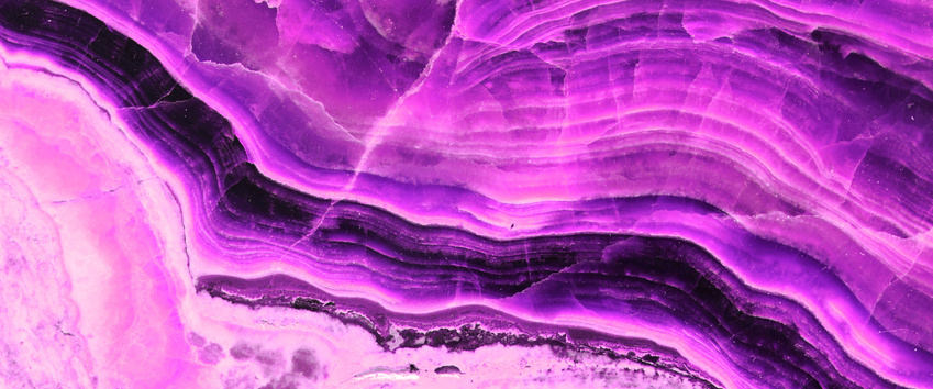 Organizzazioni partner