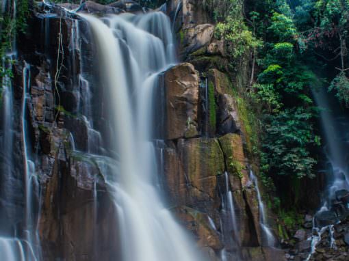 Articoli & Good News