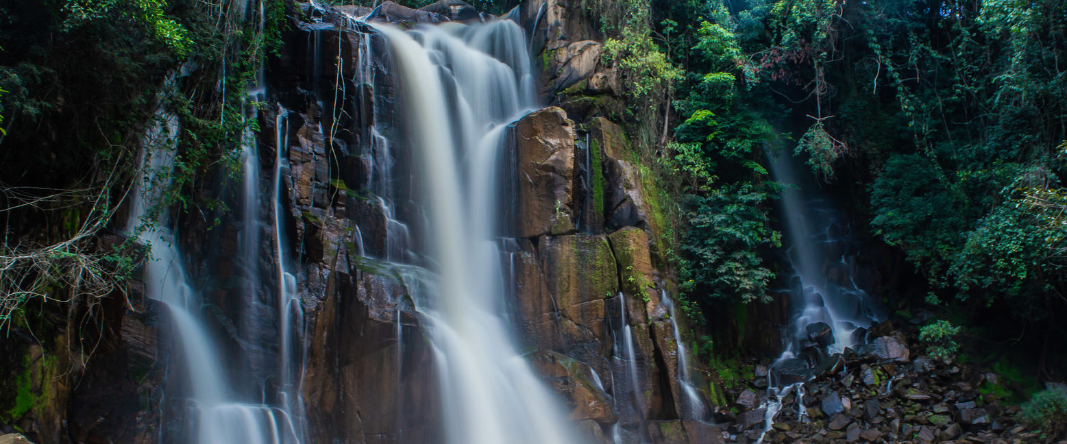 articoli e good news