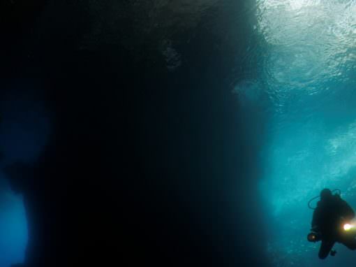 Bibliografia suggerita