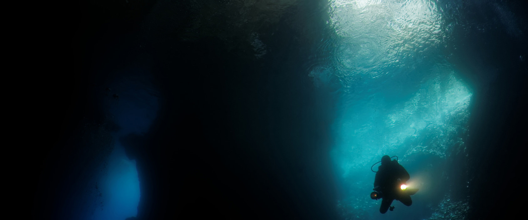 bibliografia suggerita